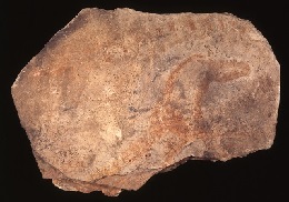 Plaqueta de la cova del Parpalló